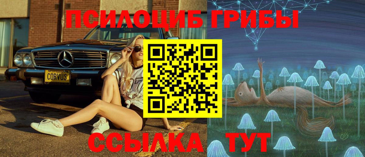 Галлюциногенные грибы MAGIC MUSHROOMS  Вход с VPN  Ялта  Галлюциногенные грибы мицелий 