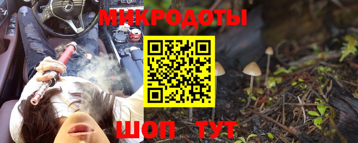 Псилоцибиновые грибы мицелий Ялта